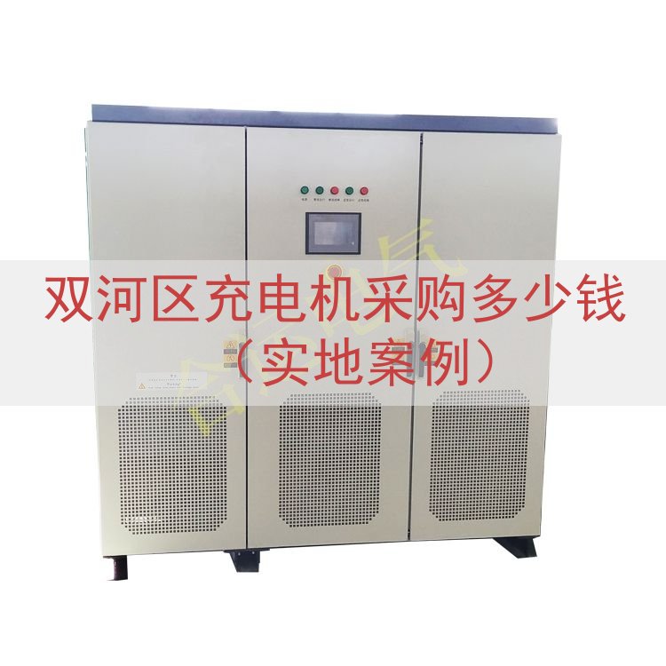 双河区充电机采购多少钱（实地案例）
